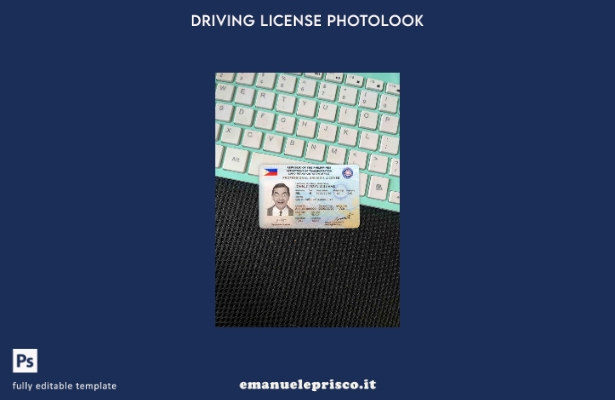 modello FRONTALE photolook della patente di guida filippina in stile verificato